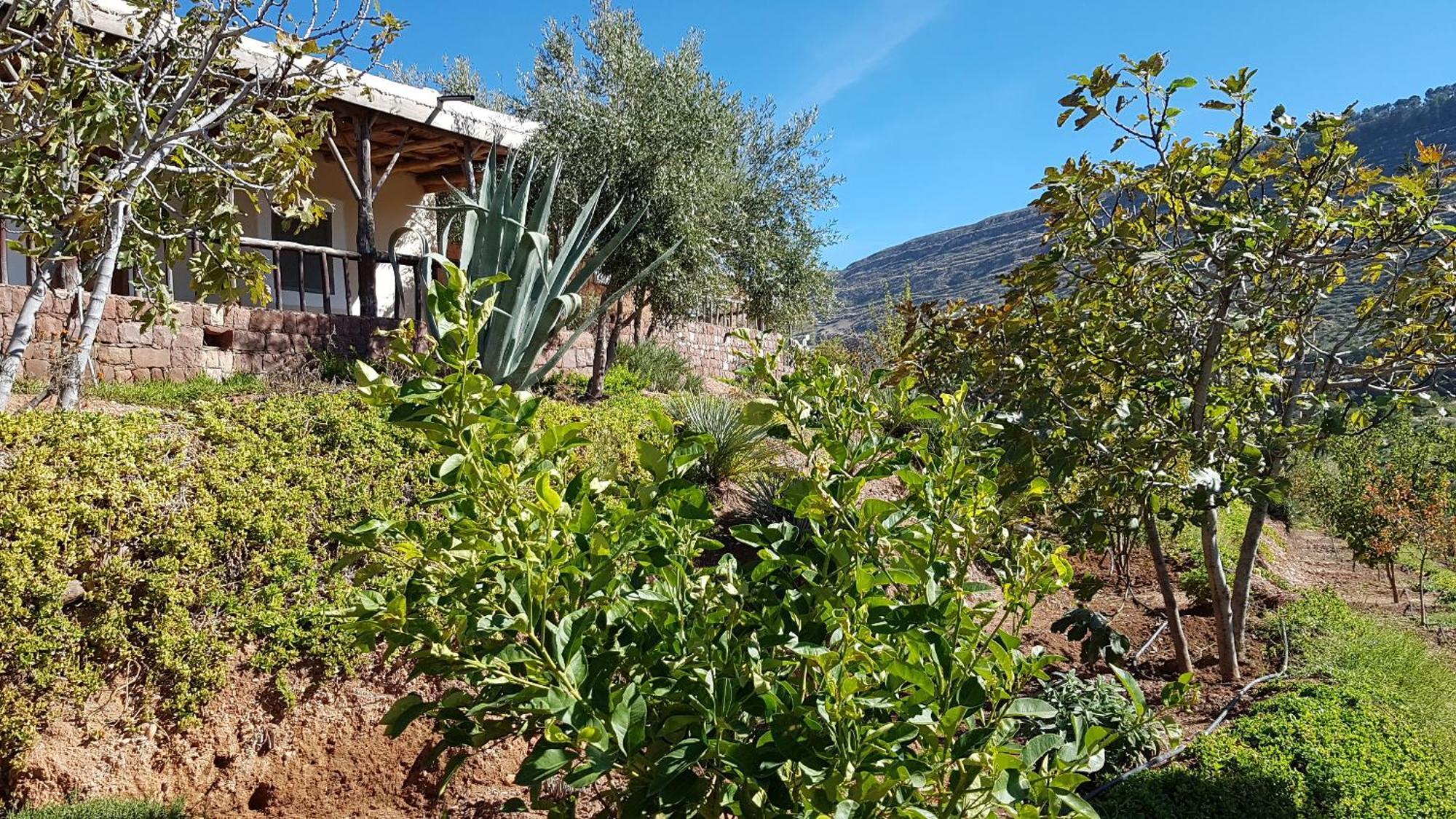 Le Douar Berbere (Adults Only) Villa อูรีกา ภายนอก รูปภาพ